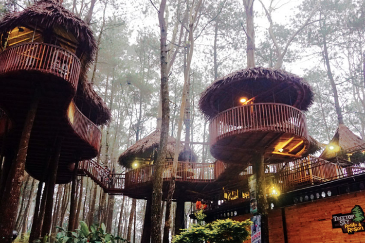 Komplek dan Suasana Wisata Alama Salatiga Kopeng Treetop Adventure Park 