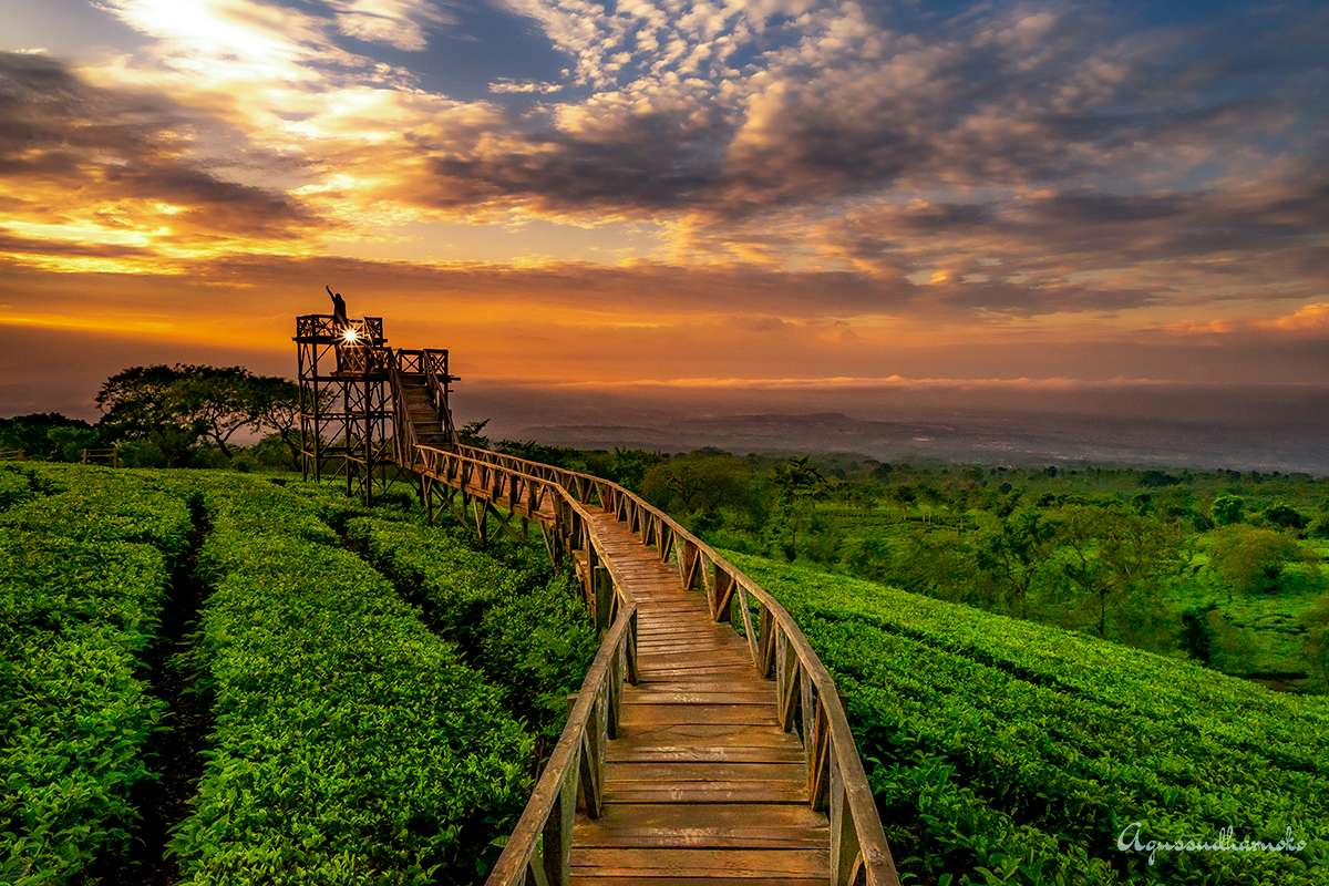 Komplek Wisata Kebun Agro Bawen Semarang