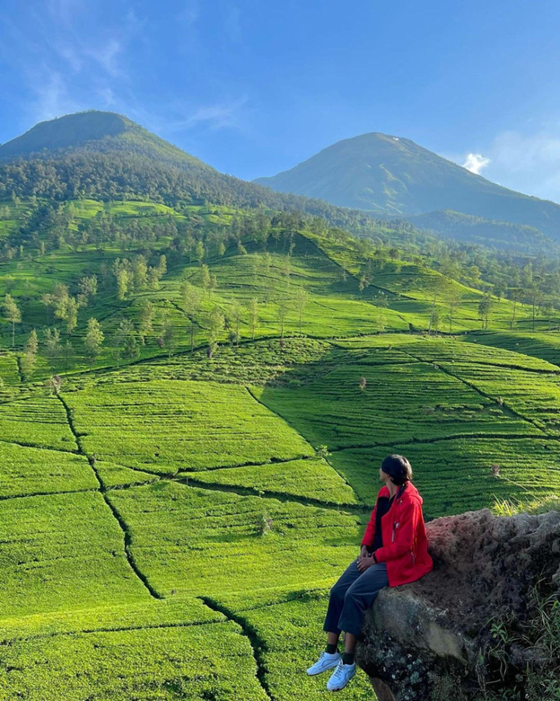 Gunung Cilik wonosobo