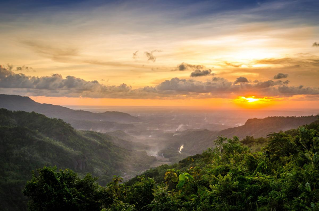 sunrise di Kebun Buah Mangunan jogja