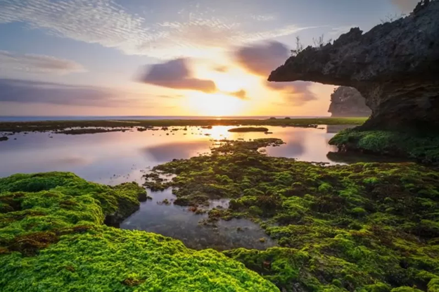 Pantai hidden gems Pantai Ngrumput